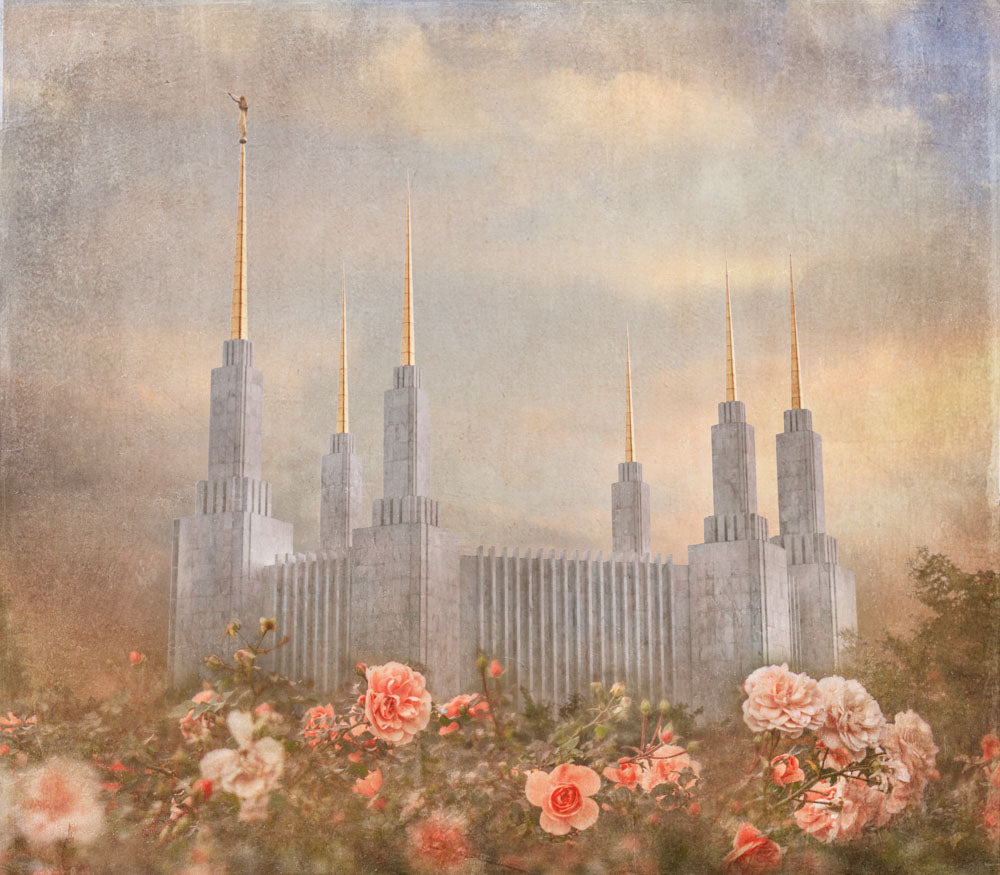 Washington D.C. Temple with pink roses.