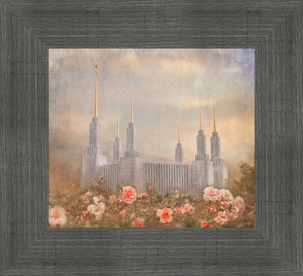 Washington DC Temple - American Rose by Mandy Jane Williams