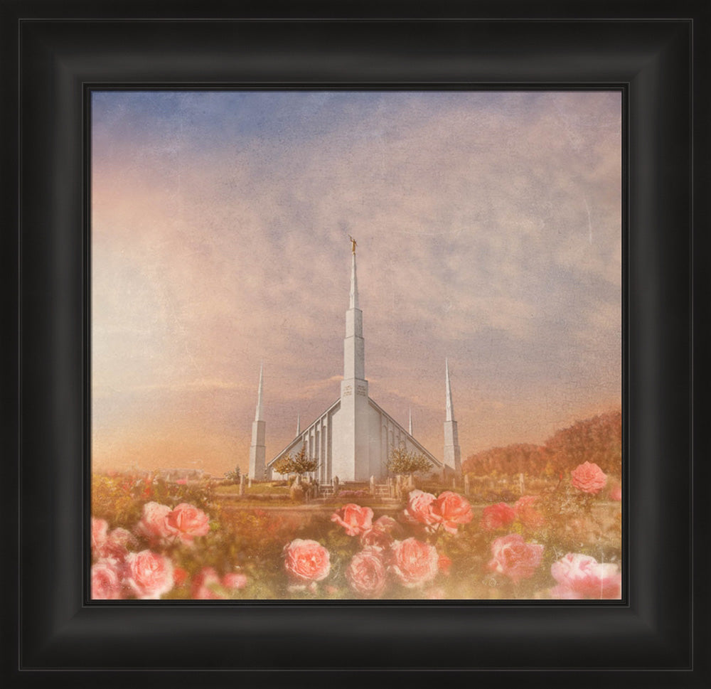 Boise Temple - Roses by Mandy Jane Williams