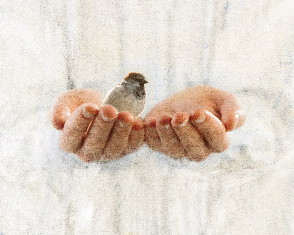 Sparrow in the hands of Jesus.