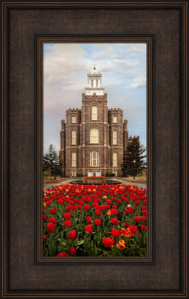 Logan Temple - Tulips by Robert A Boyd