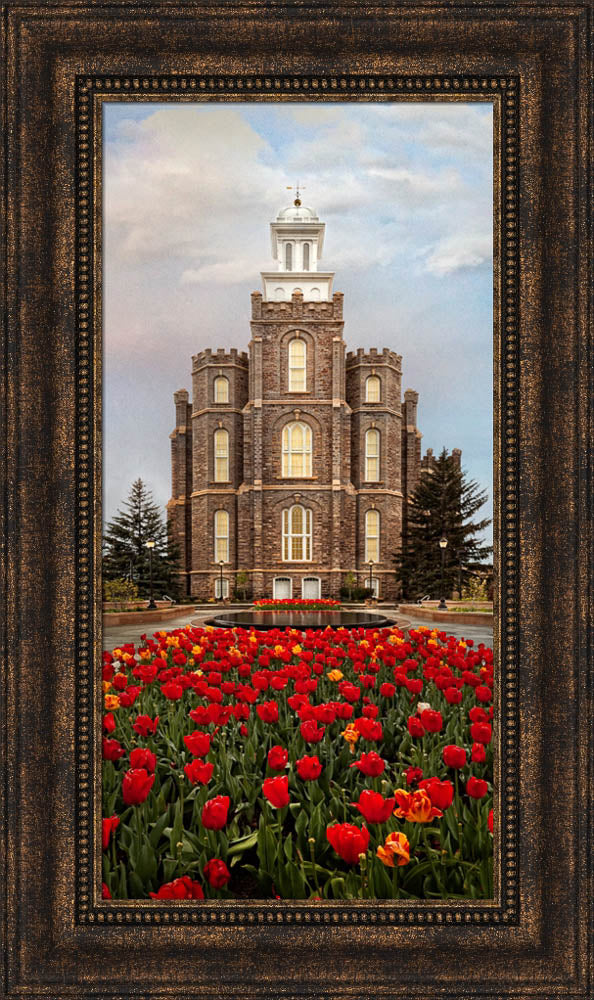 Logan Temple - Tulips