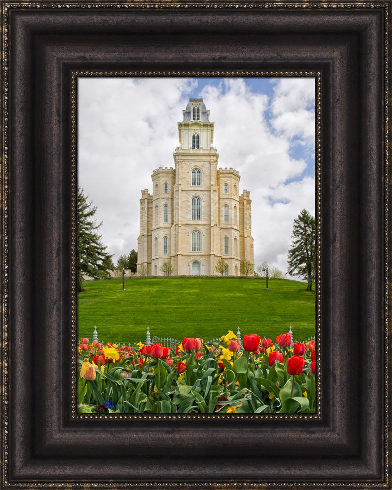 Manti Temple - Tulips and Grass