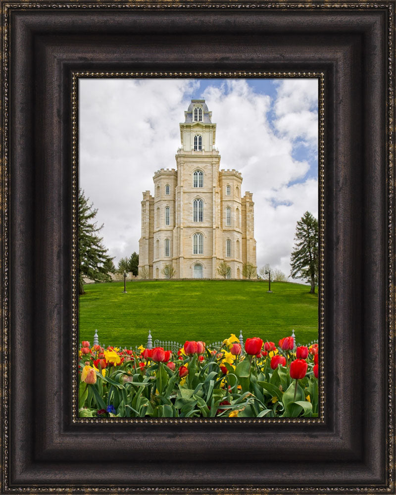 Manti Temple - Tulips and Grass by Robert A Boyd