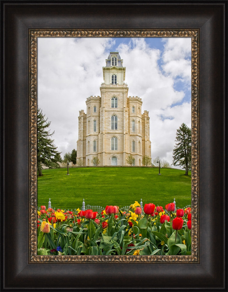 Manti Temple - Tulips and Grass