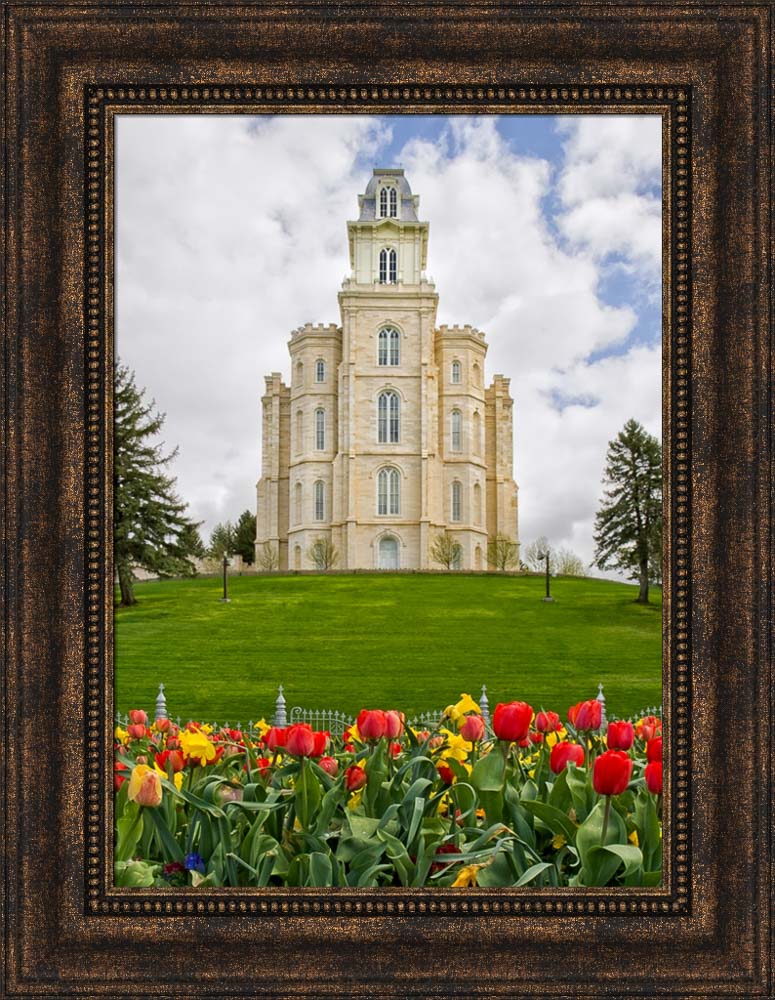 Manti Temple - Tulips and Grass