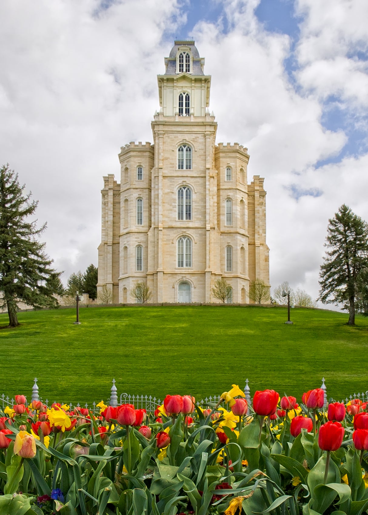 Manti Temple - Tulips and Grass