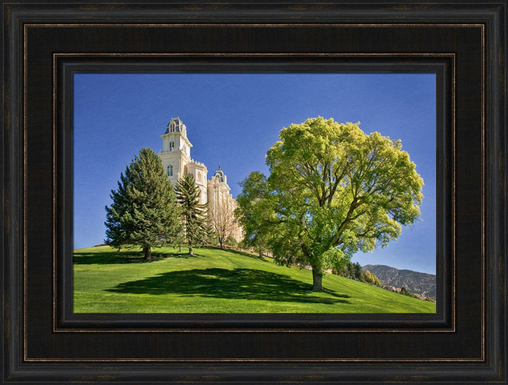 Manti Temple - Summer Tree