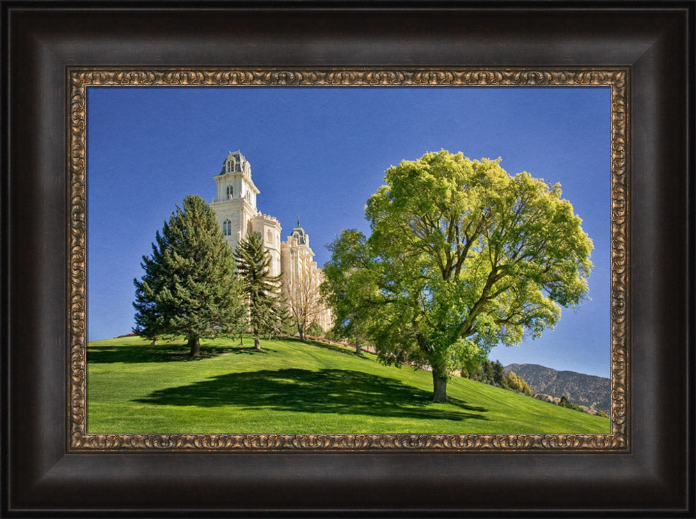 Manti Temple - Summer Tree