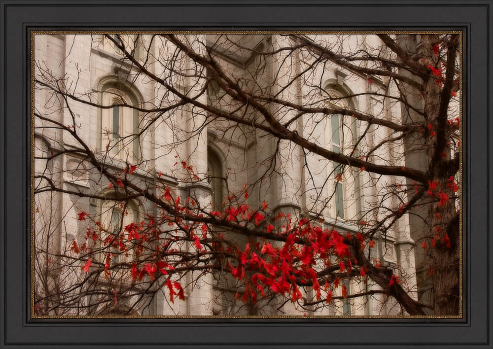 Salt Lake Temple - Amaranthine