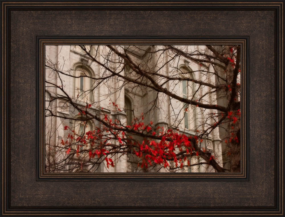 Salt Lake Temple - Amaranthine