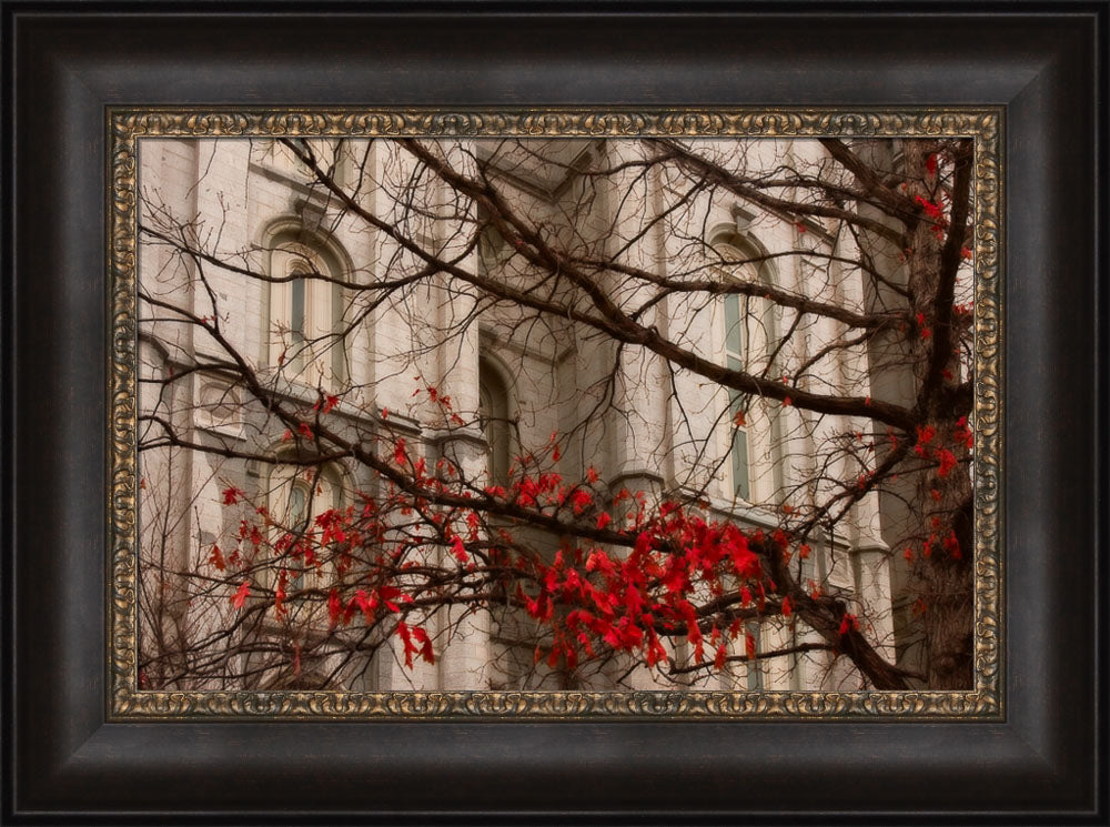 Salt Lake Temple - Amaranthine