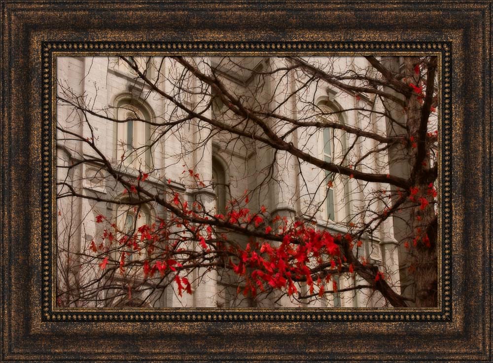 Salt Lake Temple - Amaranthine