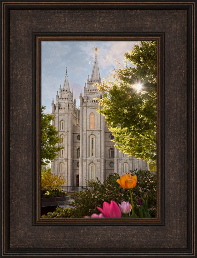 Salt Lake Temple - Springtime in Zion