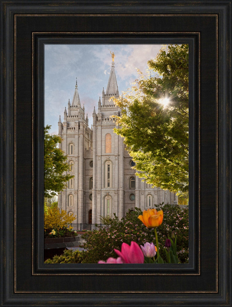 Salt Lake Temple - Springtime in Zion