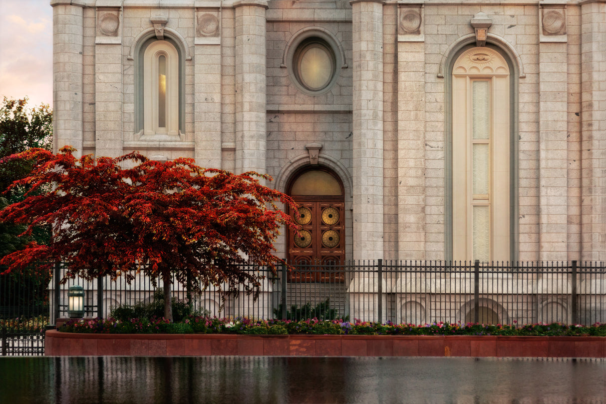 Salt Lake Temple - Fall Tree