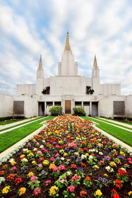 Oakland Temple - Flowers