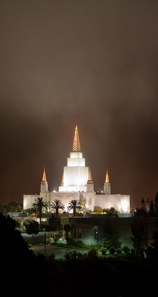 Oakland Temple - Night Fog