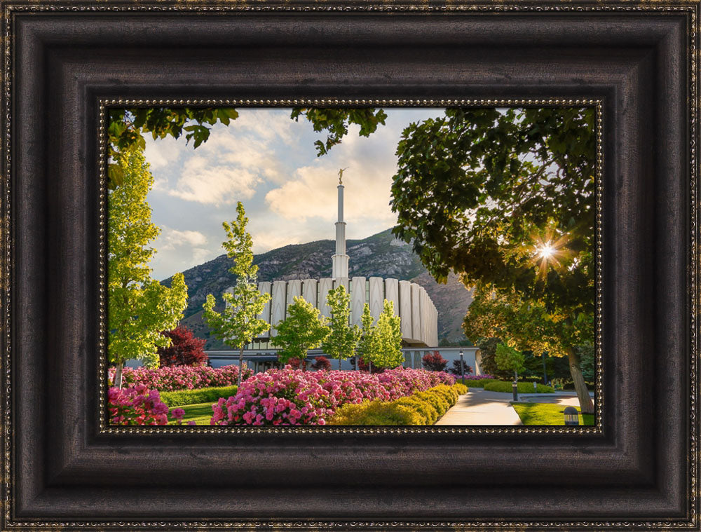 Provo Temple - Pink Roses