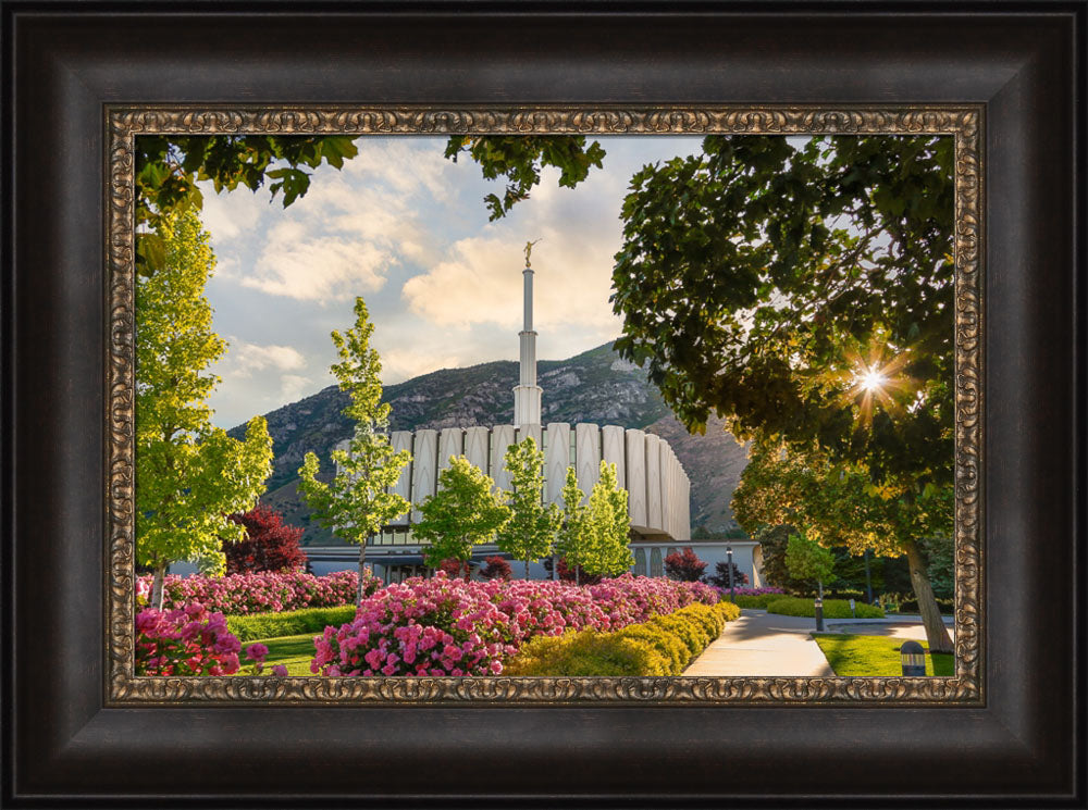 Provo Temple - Pink Roses