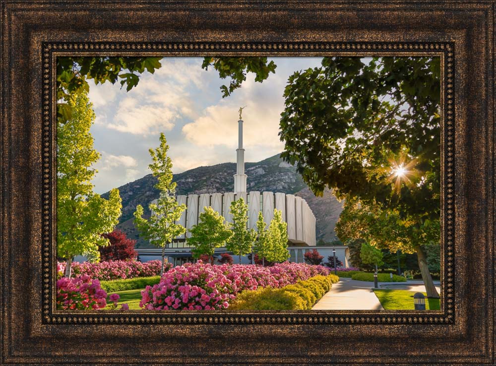 Provo Temple - Pink Roses