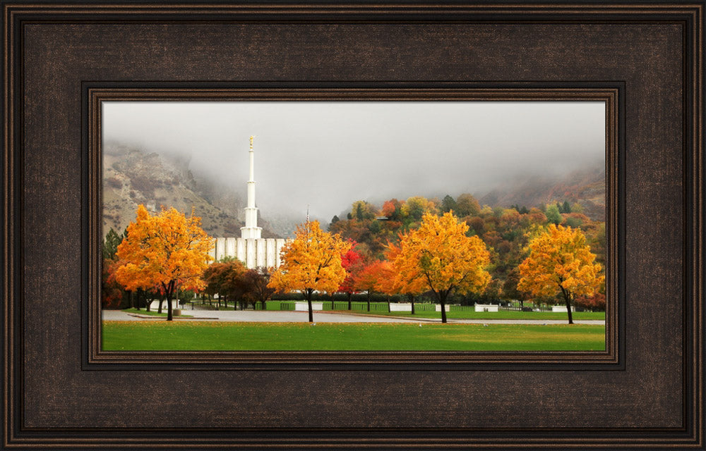 Provo Temple - Autumn Trees