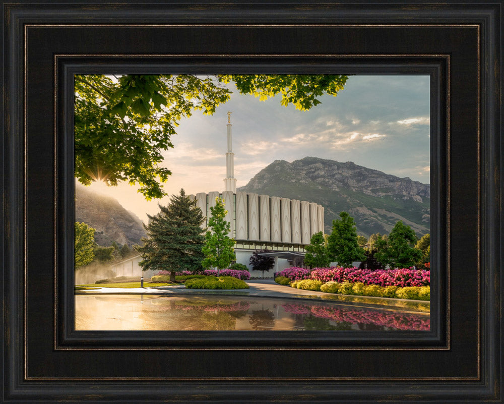 Provo Temple - Covenant Path Series