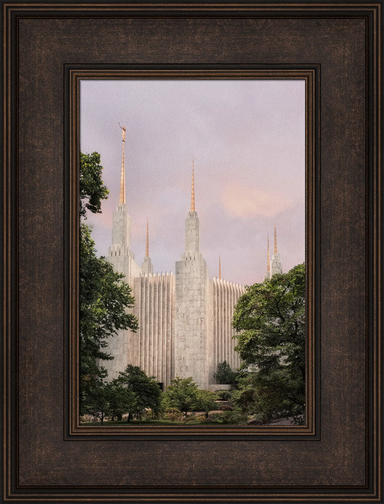 Washington DC Temple - Side Textured