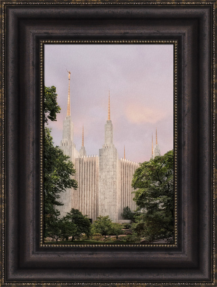 Washington DC Temple - Side Textured