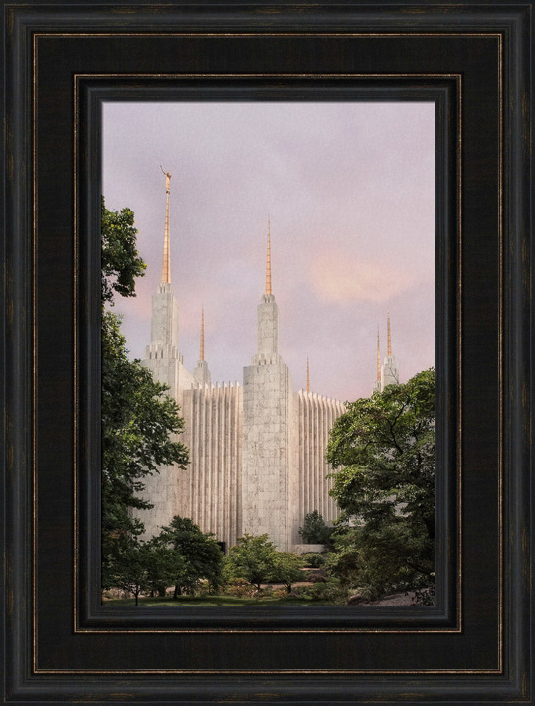 Washington DC Temple - Side Textured