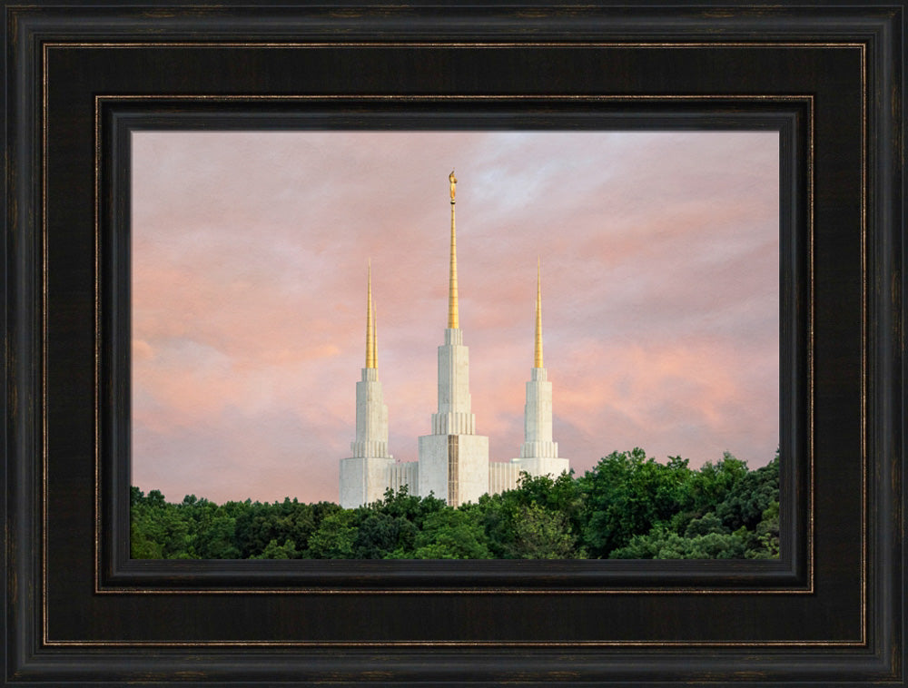 Washington DC Temple - Spires