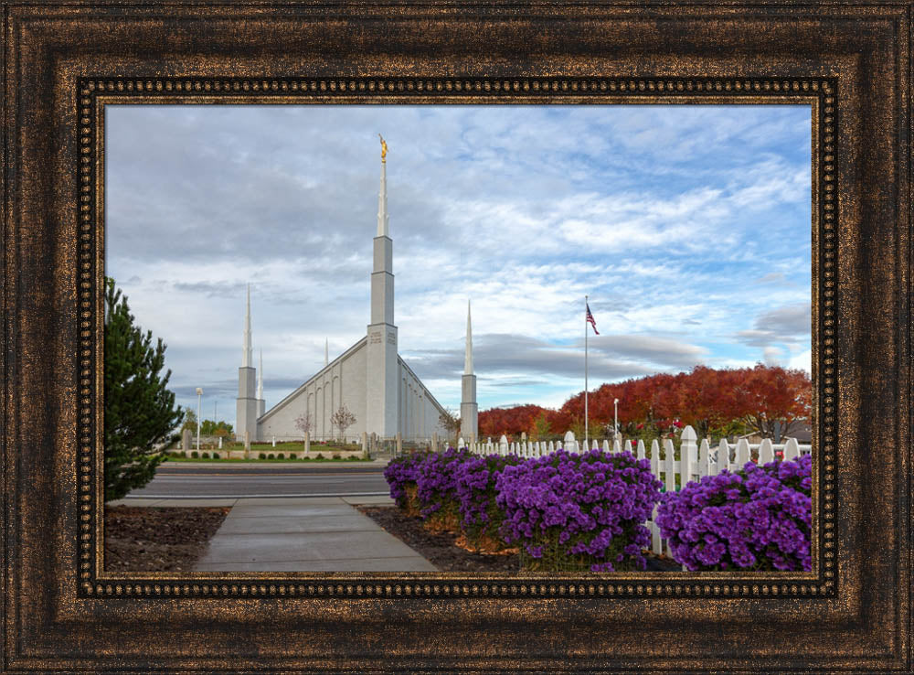 Boise Temple - Purple Flowers