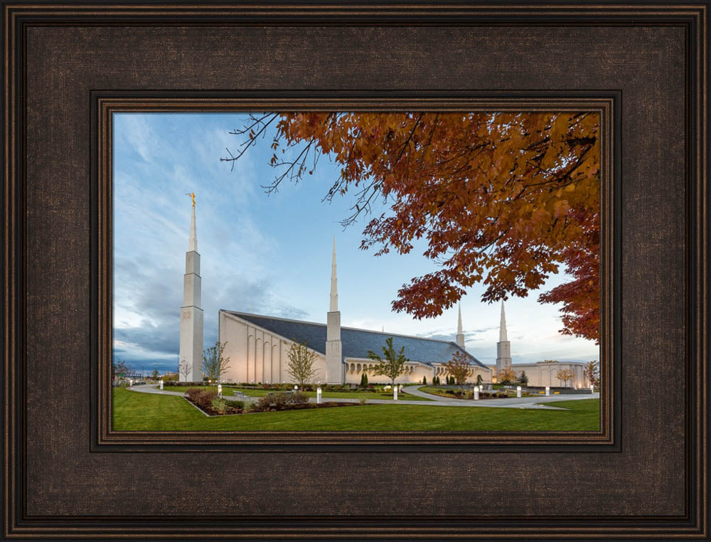 Boise Temple - Fall Trees