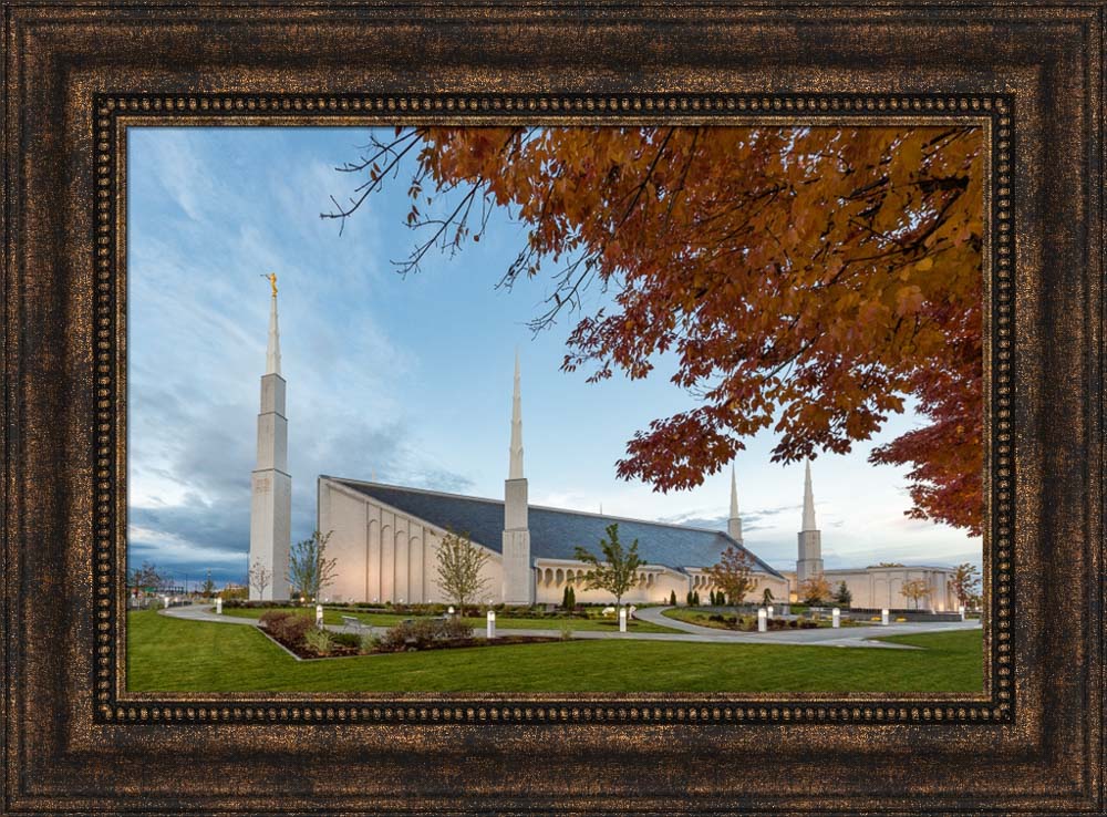 Boise Temple - Fall Trees