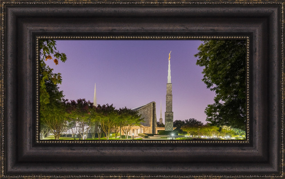 Dallas Temple - Purple Morning