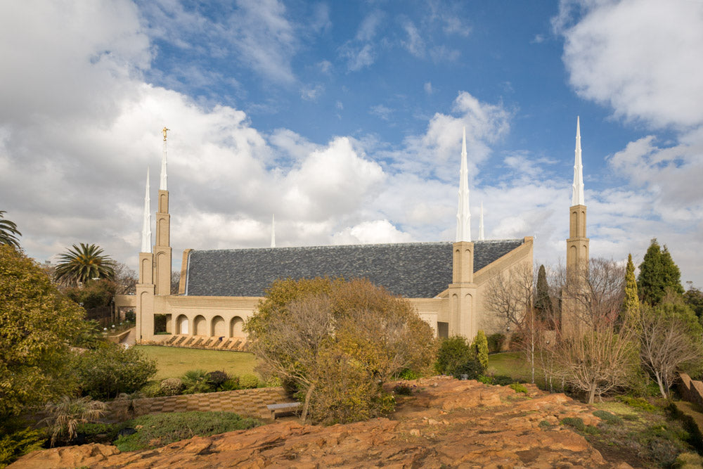 Johannesburg Temple - Trees