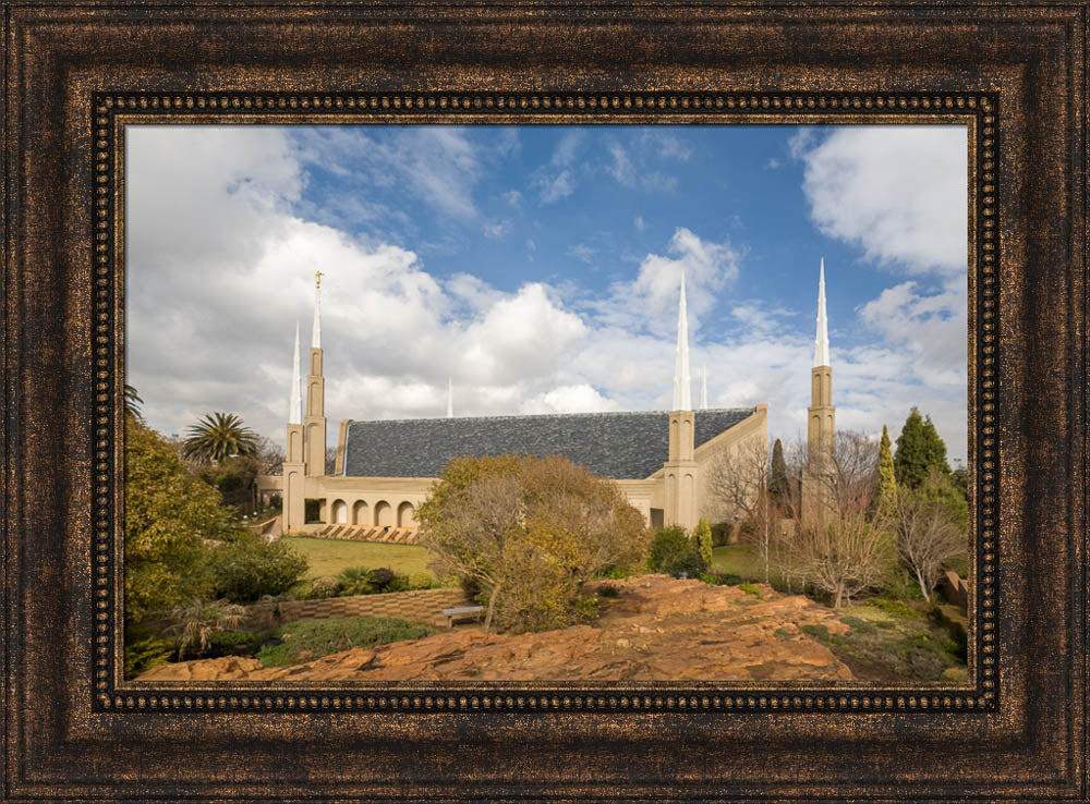 Johannesburg Temple - Trees