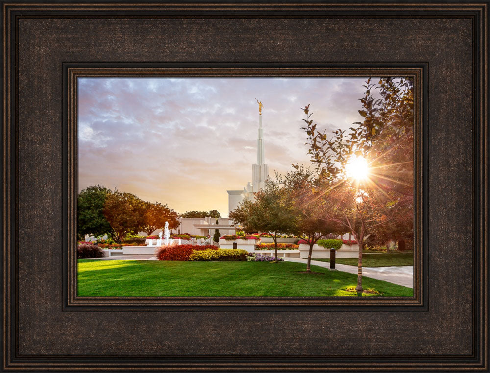 Denver Temple - Sunburst