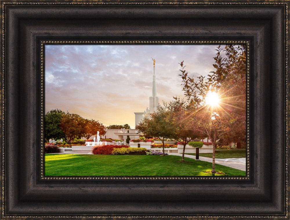 Denver Temple - Sunburst