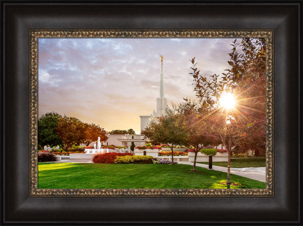 Denver Temple - Sunburst