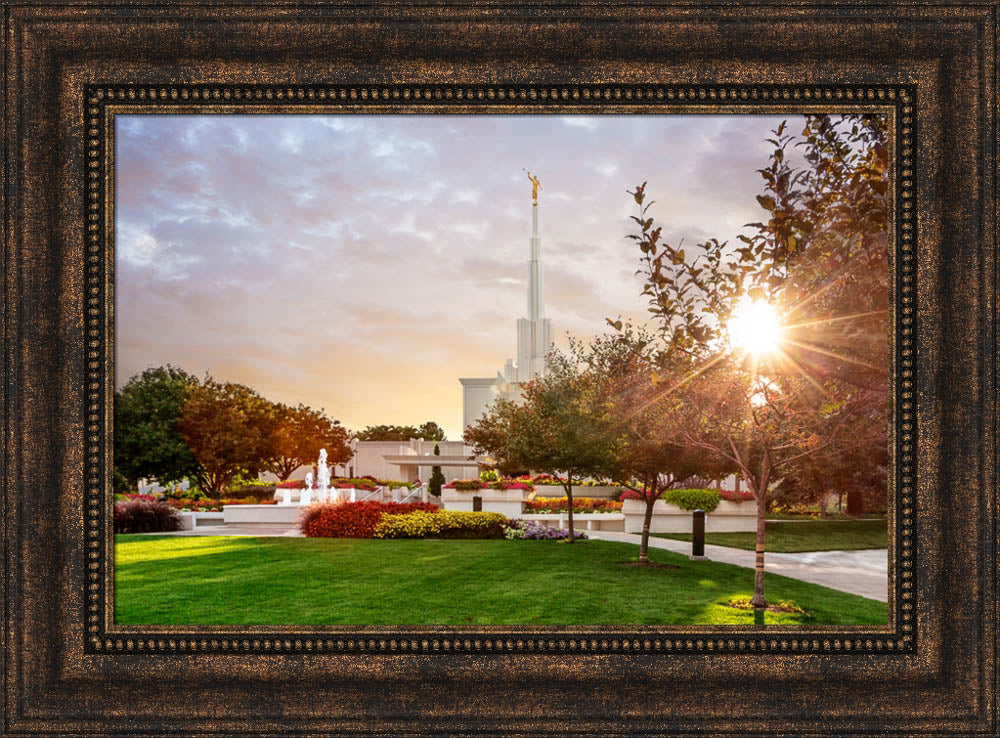 Denver Temple - Sunburst