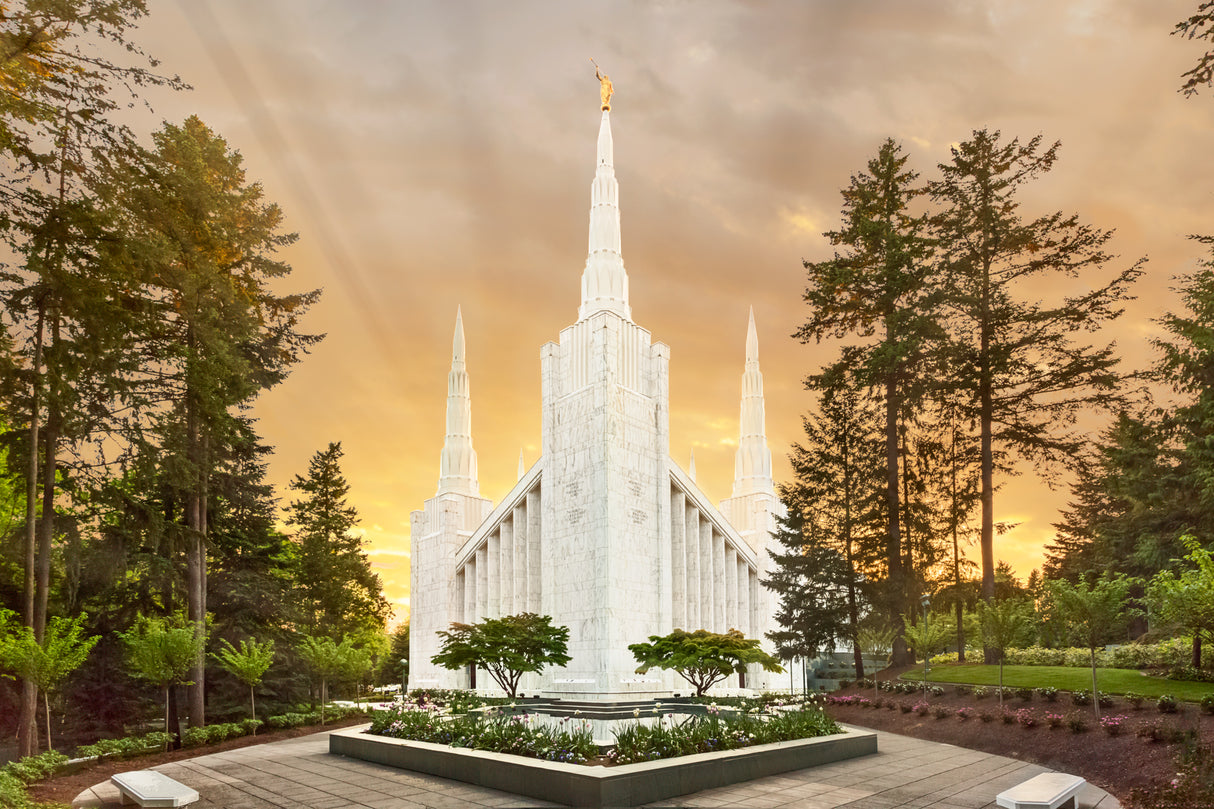 Portland Temple - Evening Glow