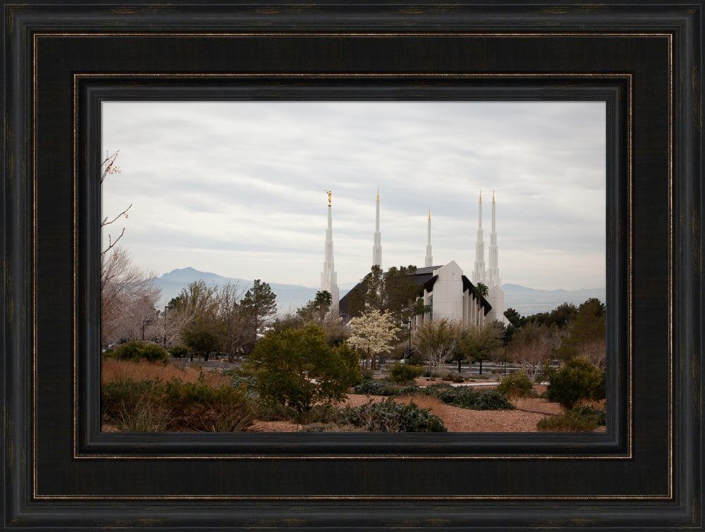 Las Vegas Temple - Desertscape