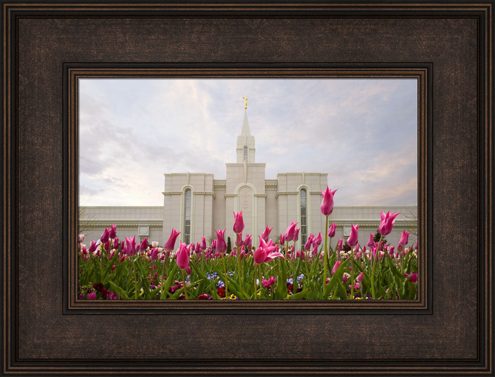 Bountiful Temple - Tulips