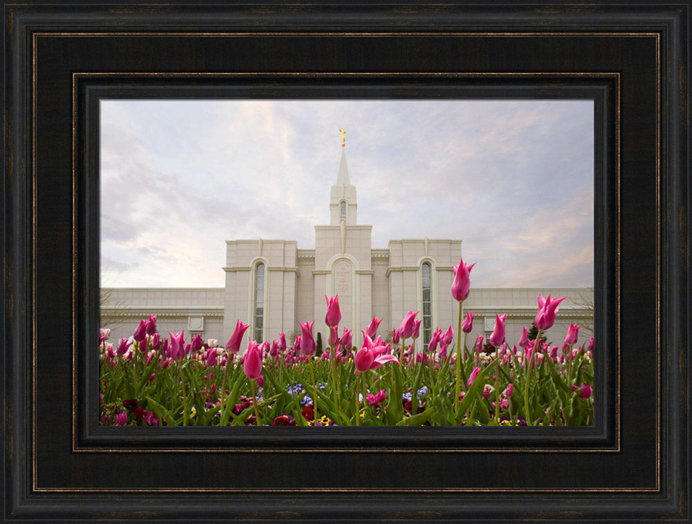 Bountiful Temple - Tulips