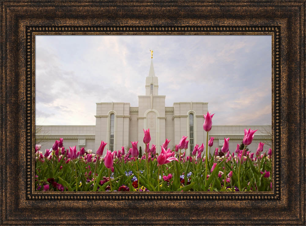Bountiful Temple - Tulips
