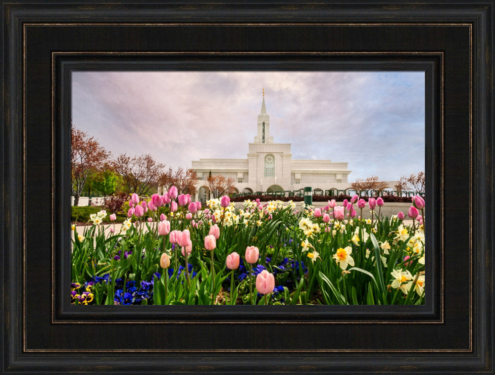 Bountiful Temple - Pink and Yellow Tulips