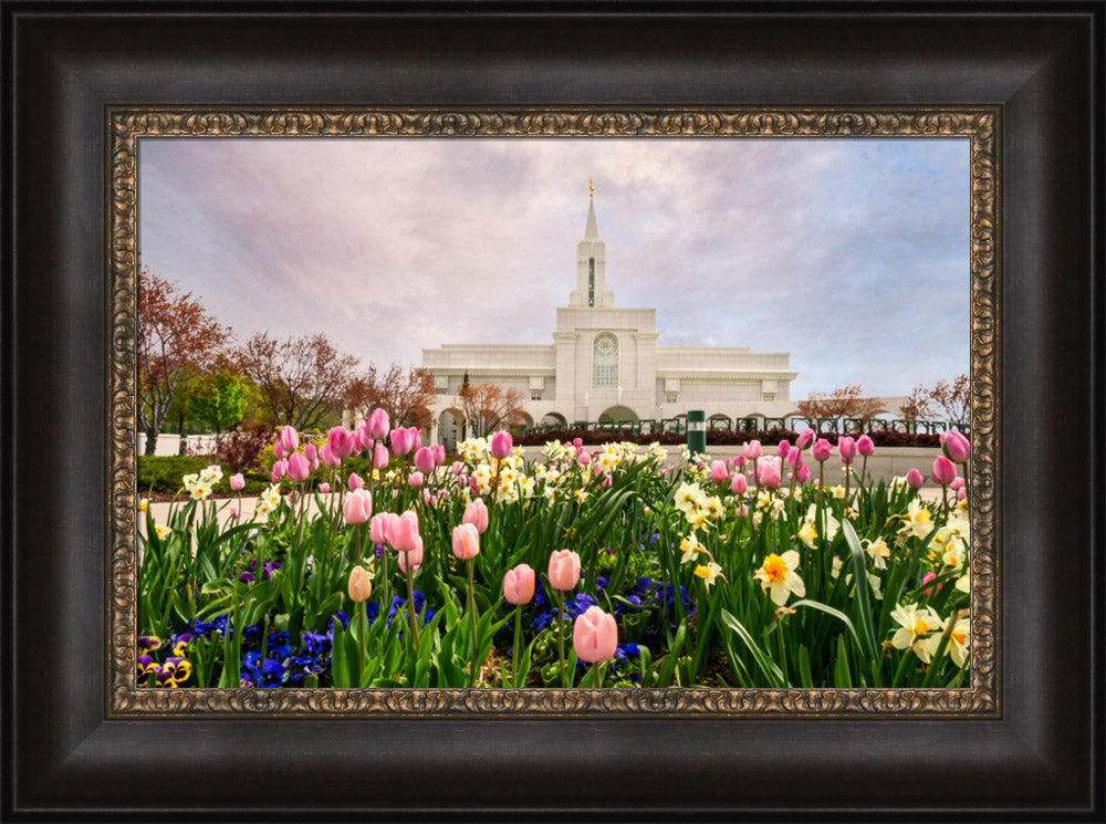 Bountiful Temple - Pink and Yellow Tulips by Robert A Boyd