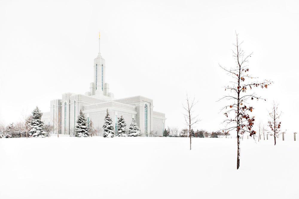 Mt Timpanogos Temple - Snow Red Leaves