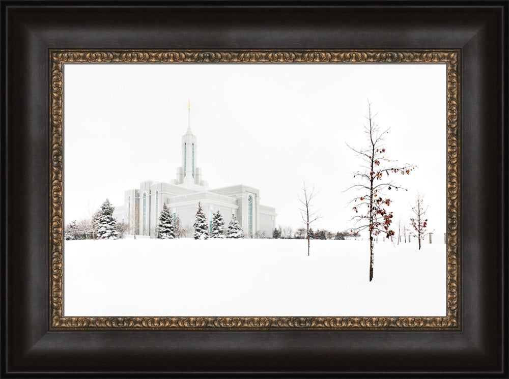 Mt Timpanogos Temple - Snow Red Leaves